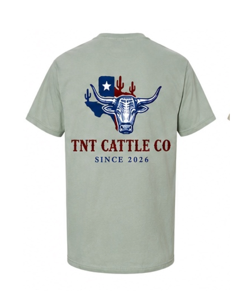 Texas Longhorn collection